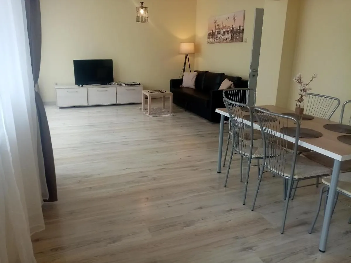 Spacious Apartment 
